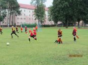 Festyn (13)