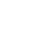 PSP-logotypy-podstawowy_logo-PSP-podstawowe-biale_1-—-kopia